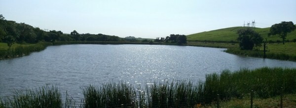 R and R Fish Farm
