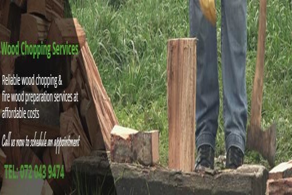 Tree Felling Pretoria