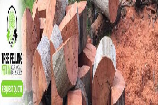 Tree Felling Pretoria