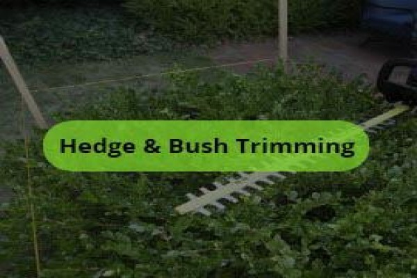 Tree Felling Pretoria