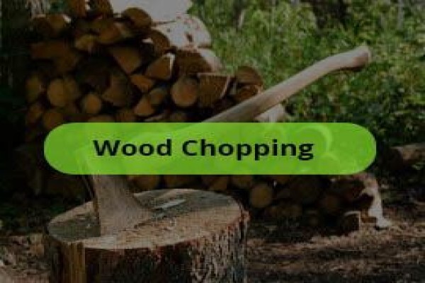 Tree Felling Pretoria