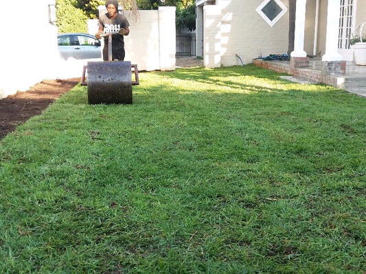 Grassfarm Instant lawns