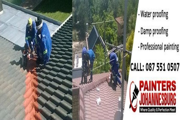 Painters Johannesburg