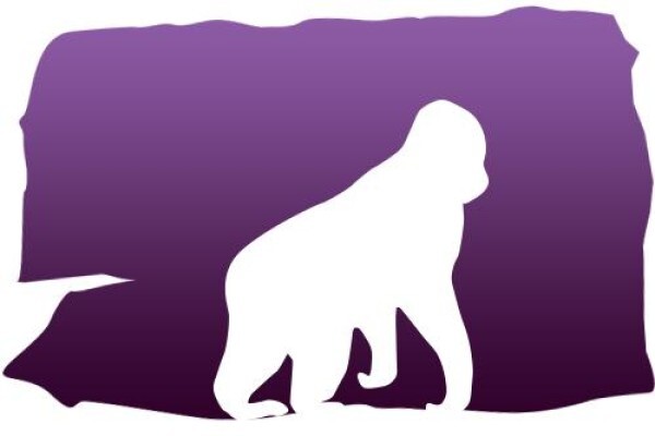 Glatt Safaris