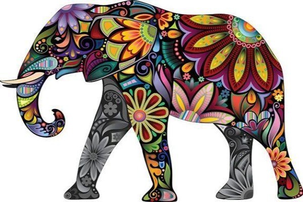 Glatt Safaris