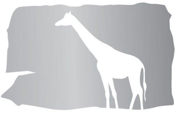 Glatt Safaris