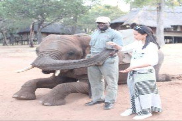 Glatt Safaris