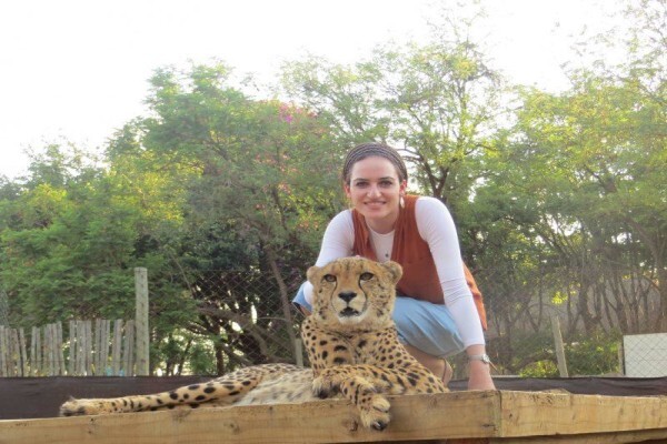 Glatt Safaris