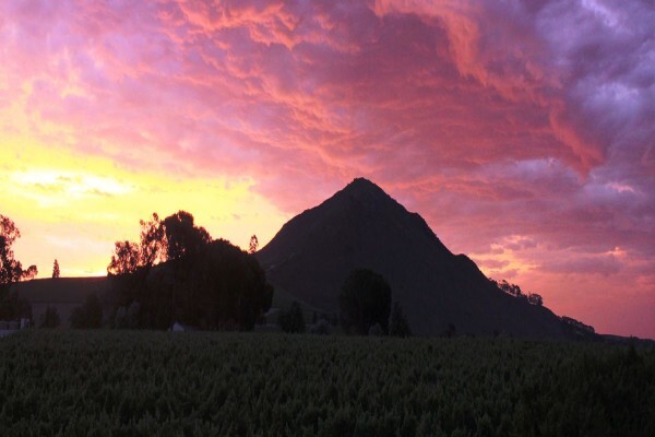 Mitre's Edge Wine Estate