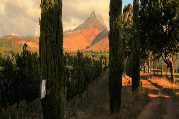 Mitre's Edge Wine Estate