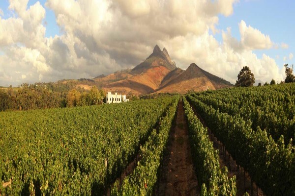 Mitre's Edge Wine Estate