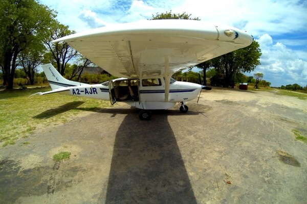 The Fly in Safari Company