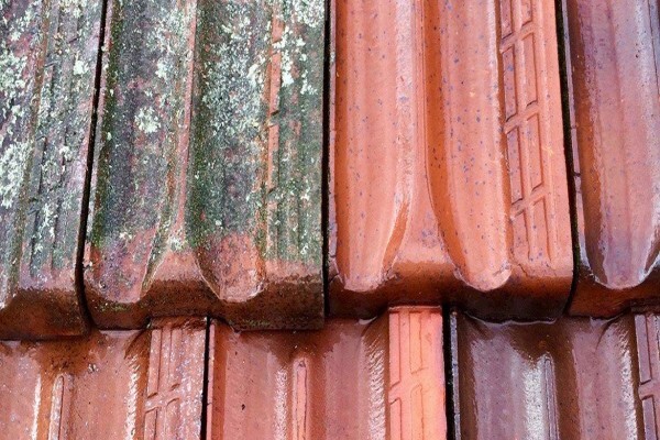 Painting Contractors Cape Town
