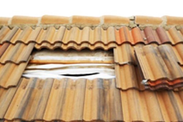 Therm Guard