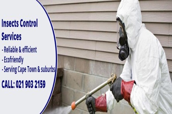 Pest Managers Cape Town