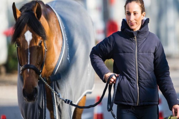 Steed & Style