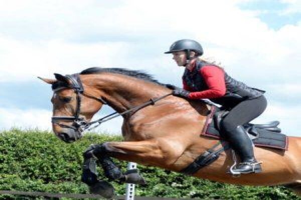 Steed & Style
