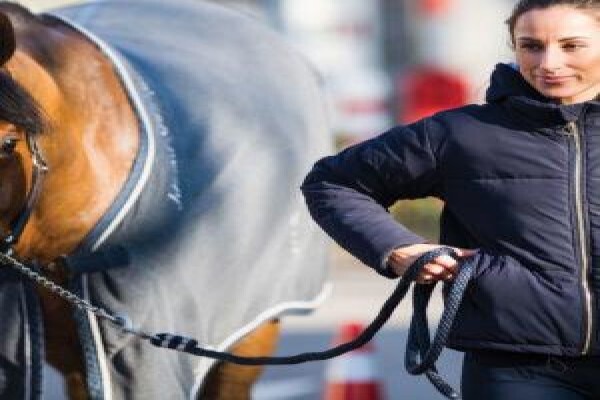 Steed & Style