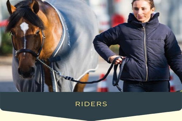 Steed & Style