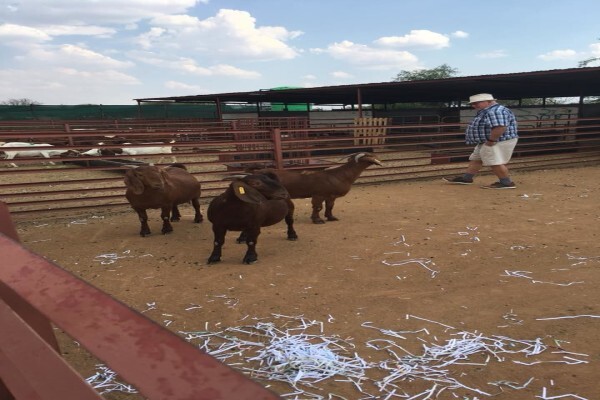 First Choice Farmers Pty Ltd