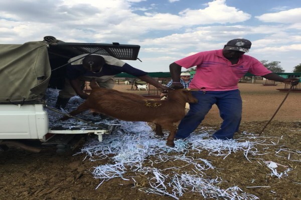 First Choice Farmers Pty Ltd