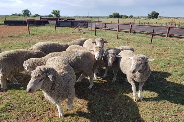 First Choice Farmers Pty Ltd