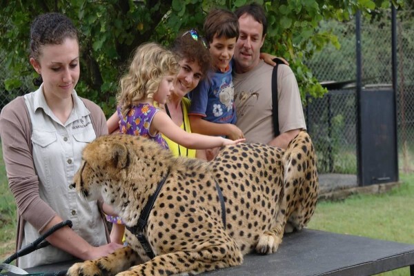 Royal Safaris