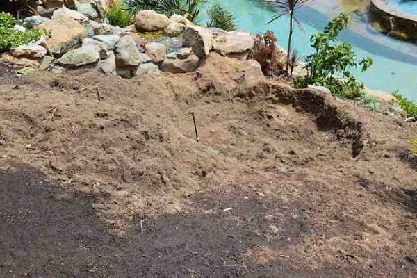 Tree Felling Services, Budget Tree Fellers