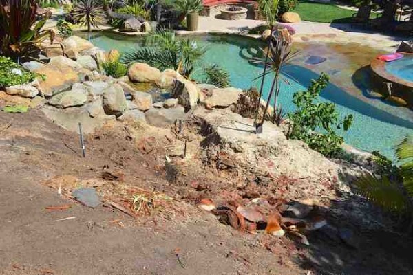 Tree Felling Services, Budget Tree Fellers