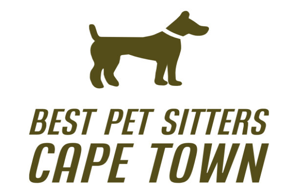 Best Pet Sitters Cape Town