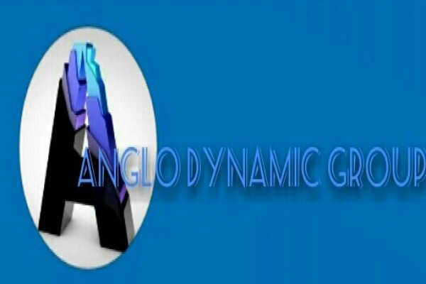 Anglo Dynamic Groups