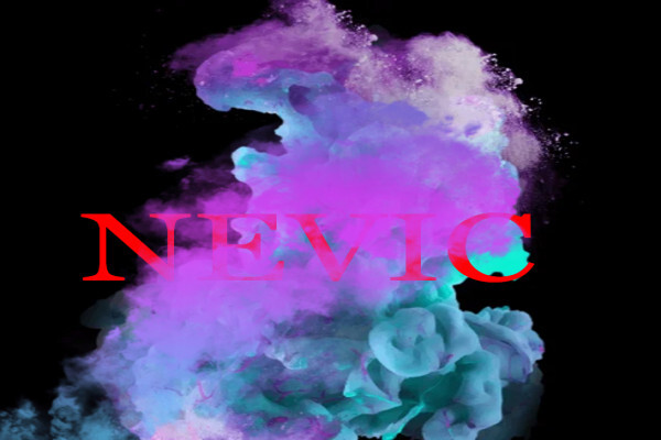 Nevic Services
