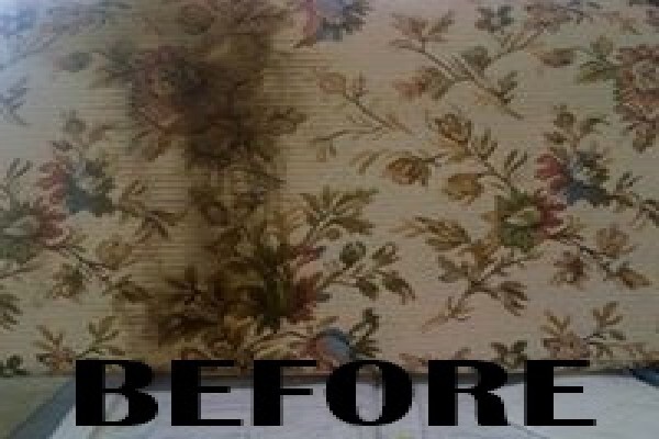 JNB Carpet Cleaners