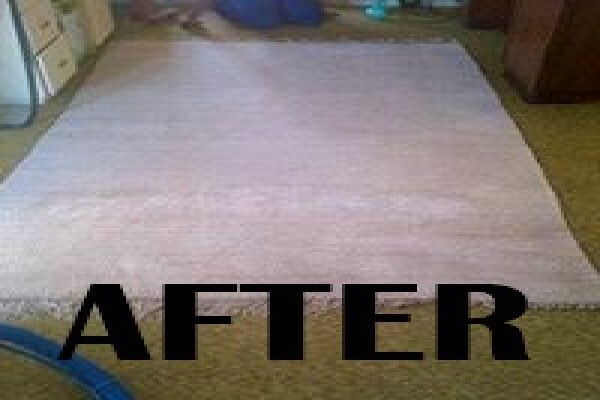 JNB Carpet Cleaners