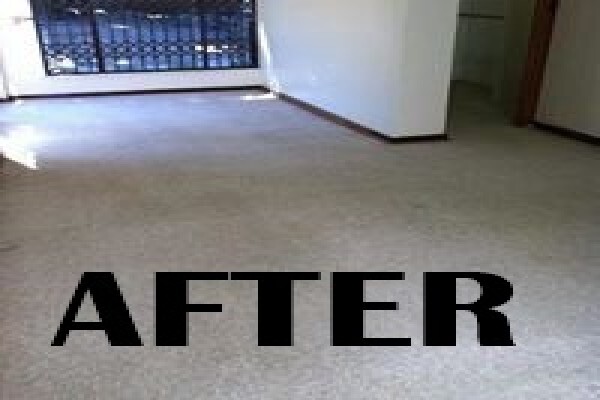 JNB Carpet Cleaners