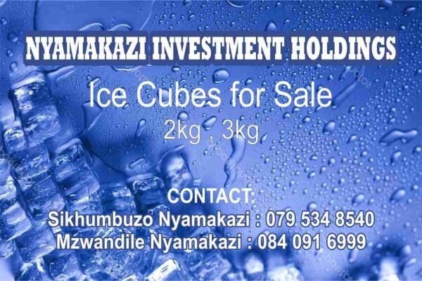 Nyamakazi Investment Holdings