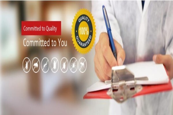 Connor Pest Control Service Blue Downs