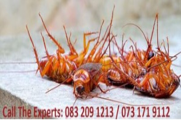 Connor Pest Control Service Blue Downs
