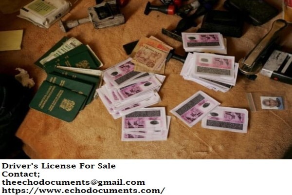 Echo Documents