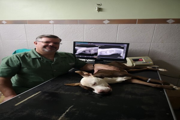 Vanderbijl animal clinic
