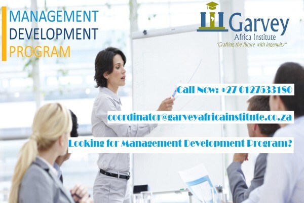 Garvey Africa Institute