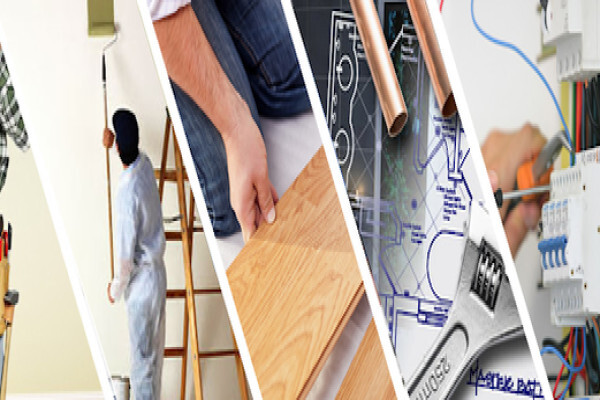 Renovator B Construction