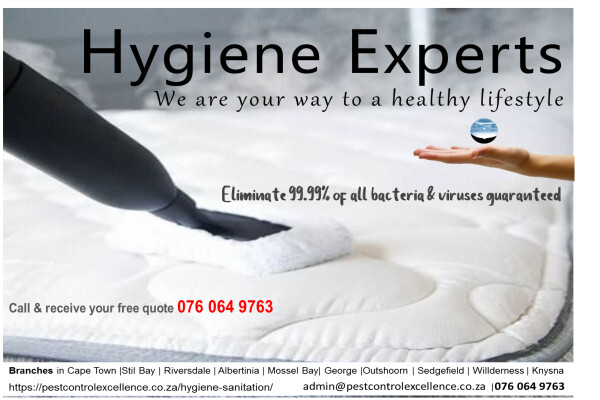 Hygiene Experts