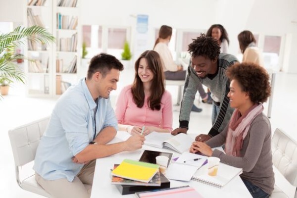 Negociate Credit Solutions