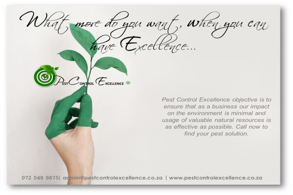 Pest control Excellence
