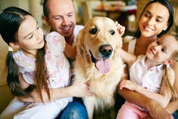 PETport Pet Relocation Service