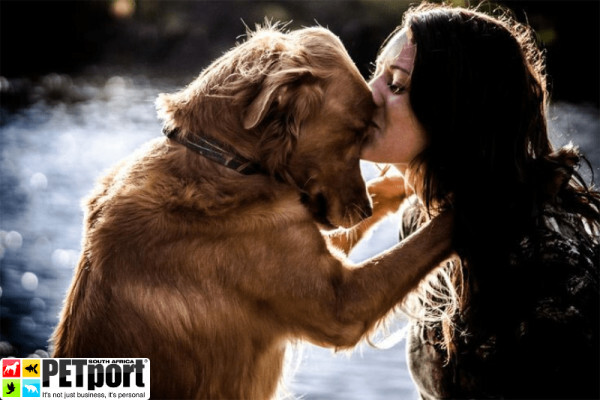 PETport Pet Relocation Service