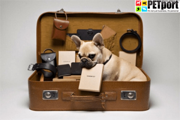 PETport Pet Relocation Service
