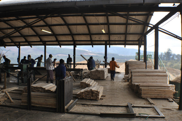 Diggersrest Timber Company