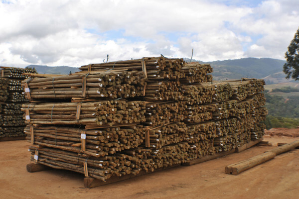 Diggersrest Timber Company